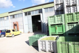 01 Lucca Sicula frantoio003.JPG